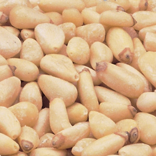 BS PINE NUTS RAW 5#