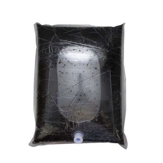 Original Birch Beer 5 gal BIB
