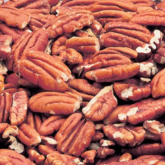 AZ PECAN FCY H&P 6/#5 CAN
