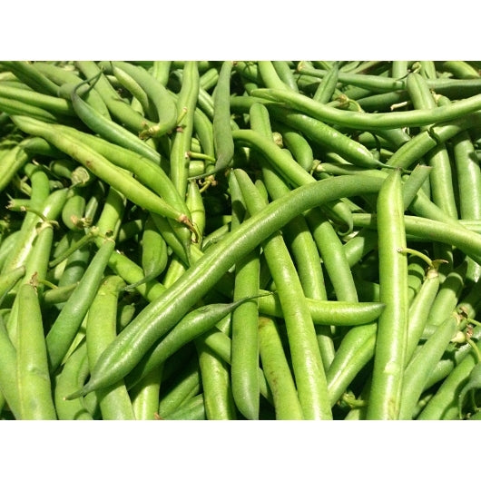 COMMODITY EXTRA STANDARD 4 SIEVE GREEN BEANS,6 - 10  CN