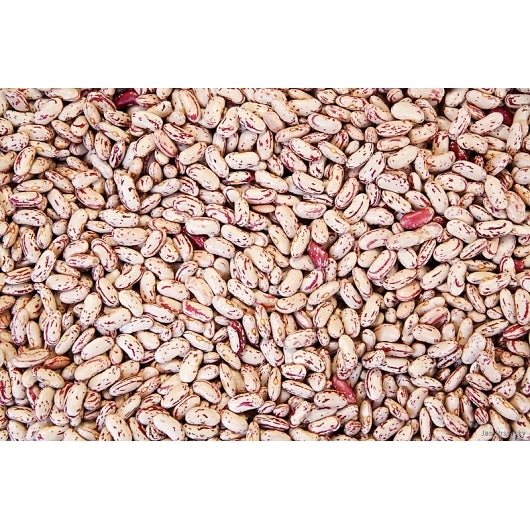 COMMODITY TRIPLE CLEAN PINTO BEANS, 1 - 20 LB