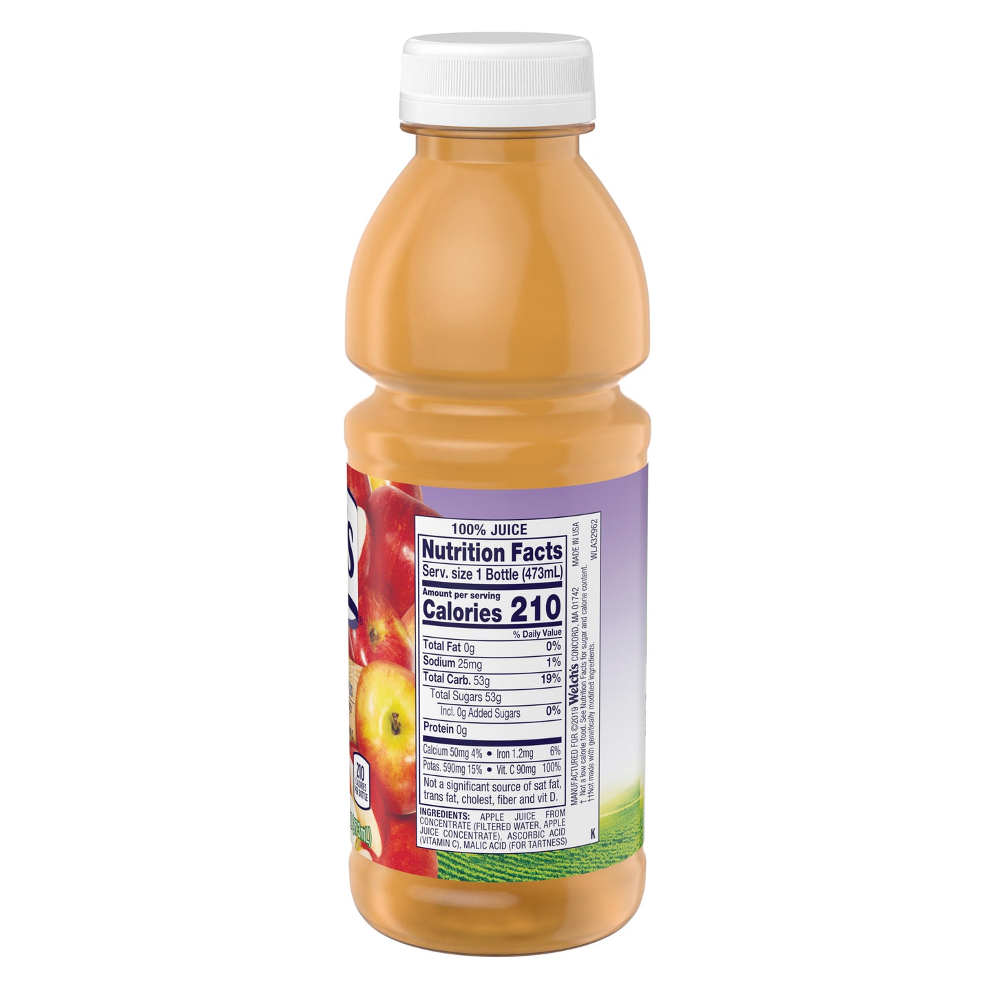 WELCH'S 12/16 FL OZ 100% JUICE - APPLE