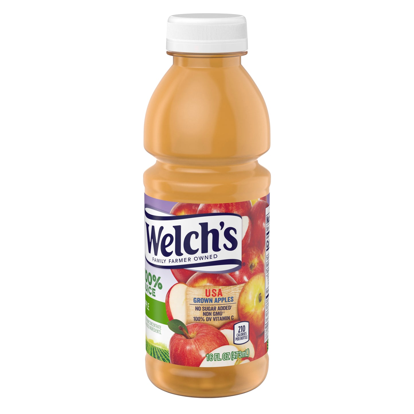 WELCH'S 12/16 FL OZ 100% JUICE - APPLE