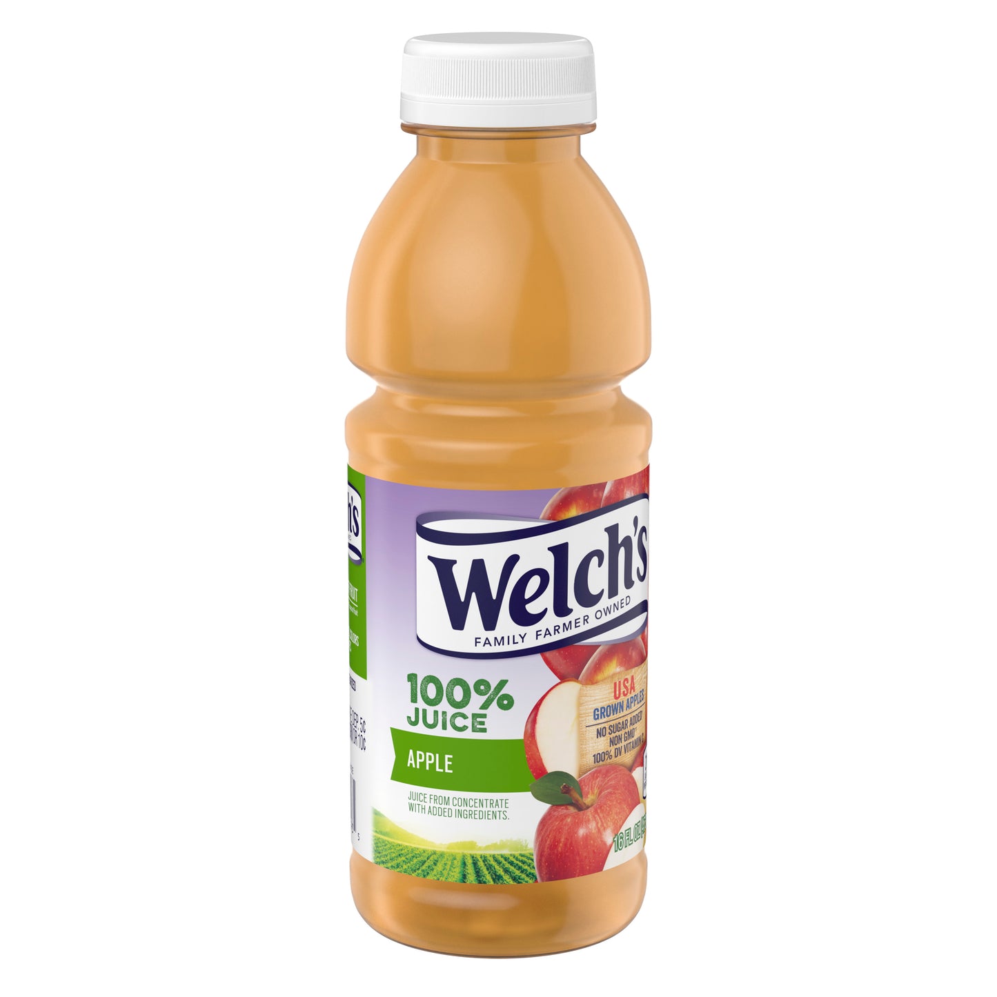 WELCH'S 12/16 FL OZ 100% JUICE - APPLE